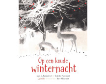 Op een koude winternacht