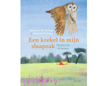 Een krekel in mijn slaapzak