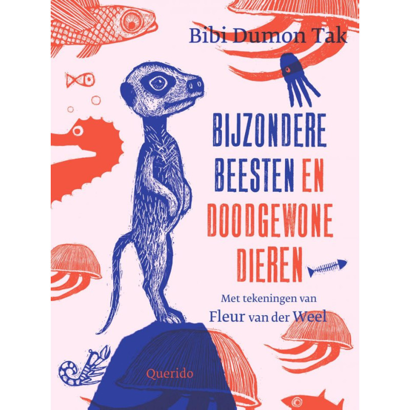 Bijzondere beesten en doodgewone dieren Bijzondere beesten en doodgewone dieren