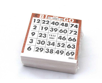 Bingoblok 500 vel (5 ass.)