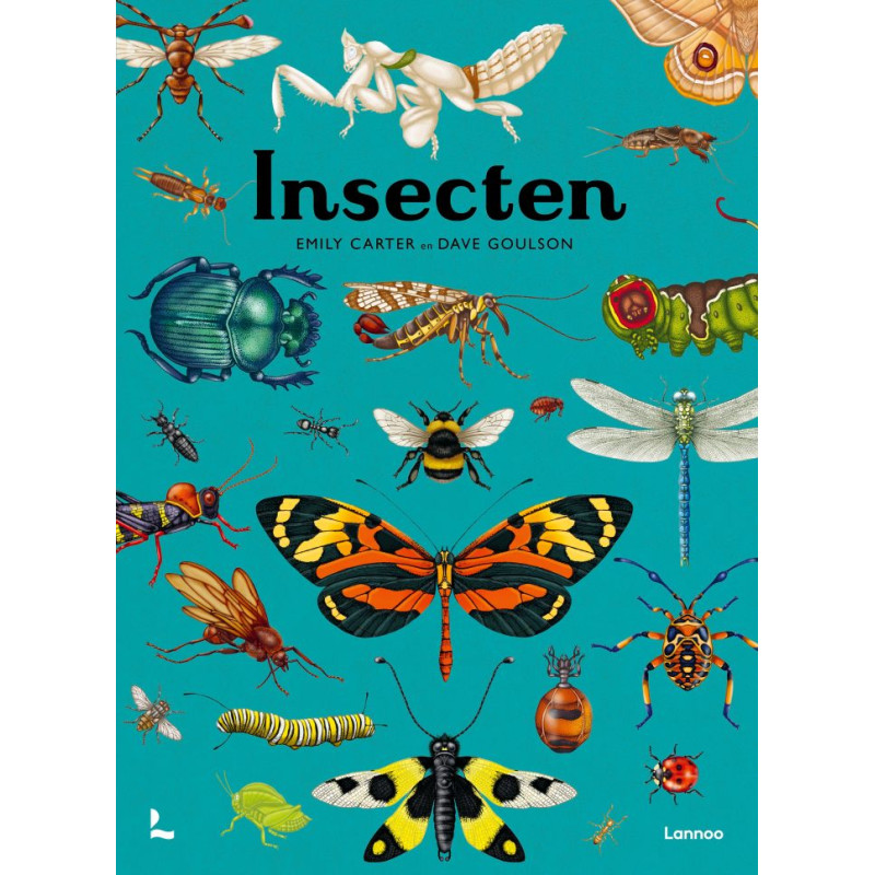 Insecten Insecten