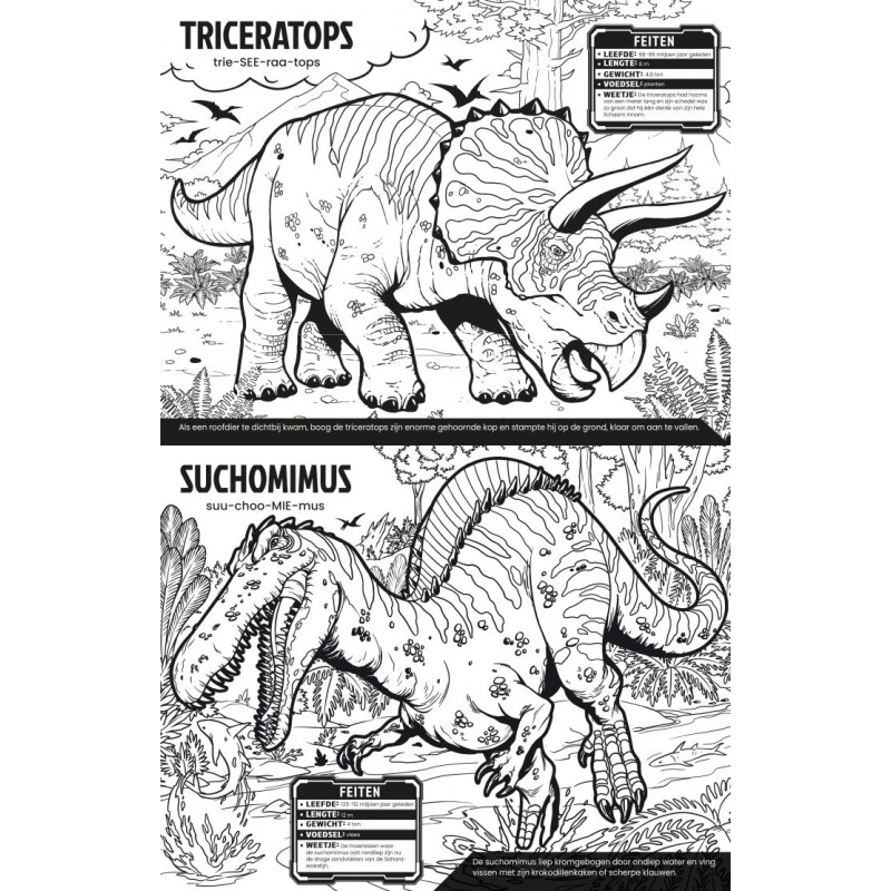 Kleur je eigen dinosaurussen Kleur je eigen dinosaurussen