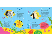 Diep in de zee, memory en bingo Diep in de zee, memory en bingo