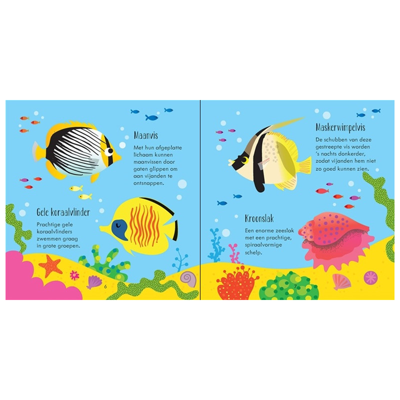 Diep in de zee, memory en bingo Diep in de zee, memory en bingo