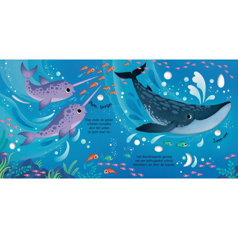 Usborne Geluidsboekjes - Dieren op de Noordpool
