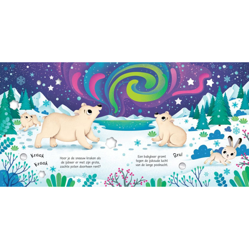Usborne Geluidsboekjes - Dieren op de Noordpool