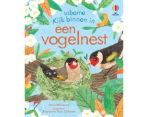 Kijk binnen in: een vogelnest