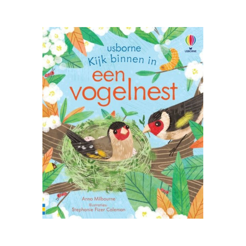 Kijk binnen in: een vogelnest