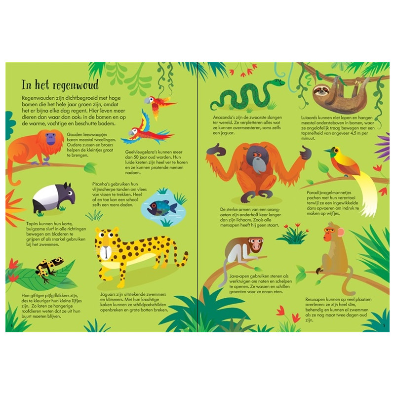 Boek & Puzzel - Dieren van de wereld Boek & Puzzel - Dieren van de wereld
