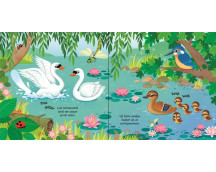 Usborne Geluidsboekjes - Vogels Usborne Geluidsboekjes - Vogels