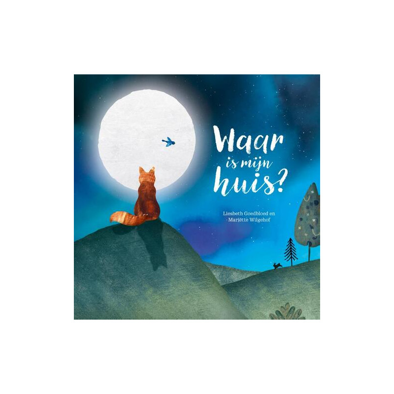 Waar is mijn huis?