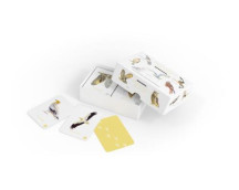 Roofvogels en Uilen memospel