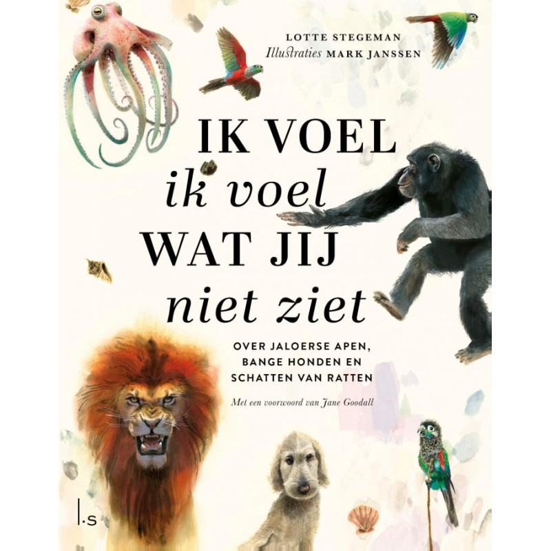Ik voel ik voel wat jij niet ziet Ik voel ik voel wat jij niet ziet