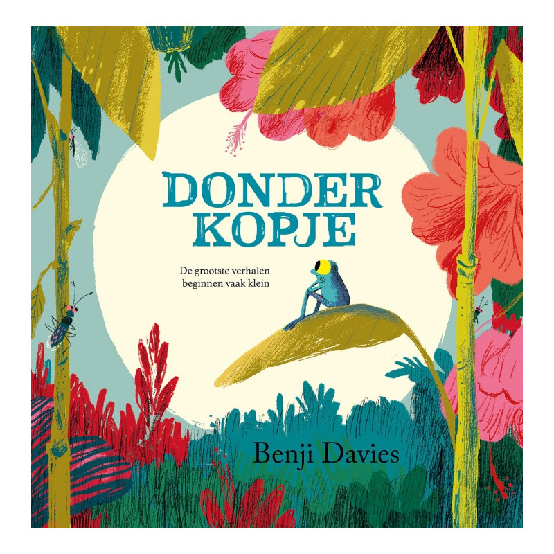 Donderkopje (kartonboek) Donderkopje (kartonboek)