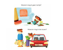 Kleine tijger - Waarom niet?