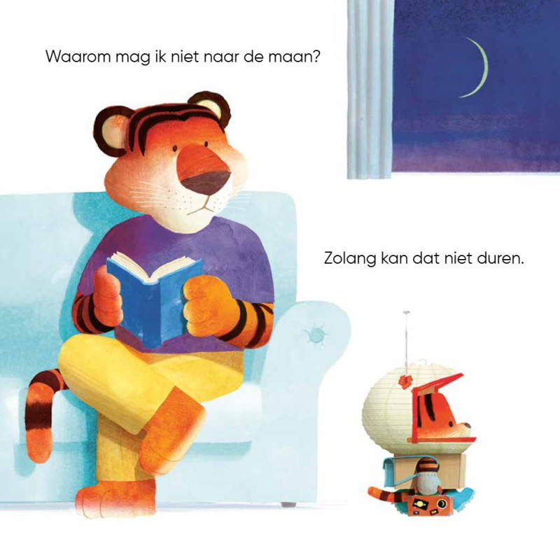 Kleine tijger - Waarom niet?