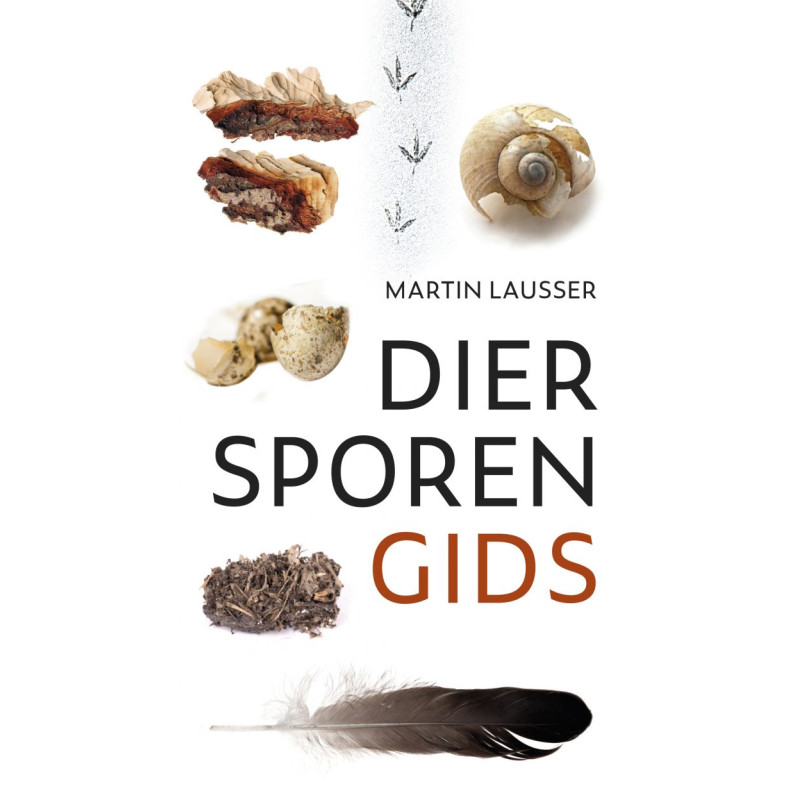 Diersporengids Diersporengids