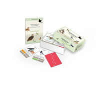 Kwartetten met vogels - Vier de vogels!