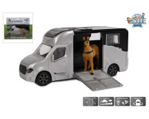 Anemone paardentruck