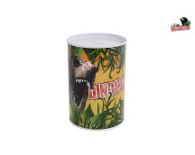 Schoencadeautjes