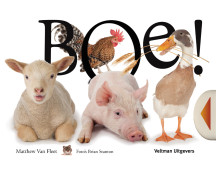 Boe!
