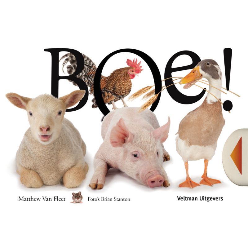 Boe!
Boe!