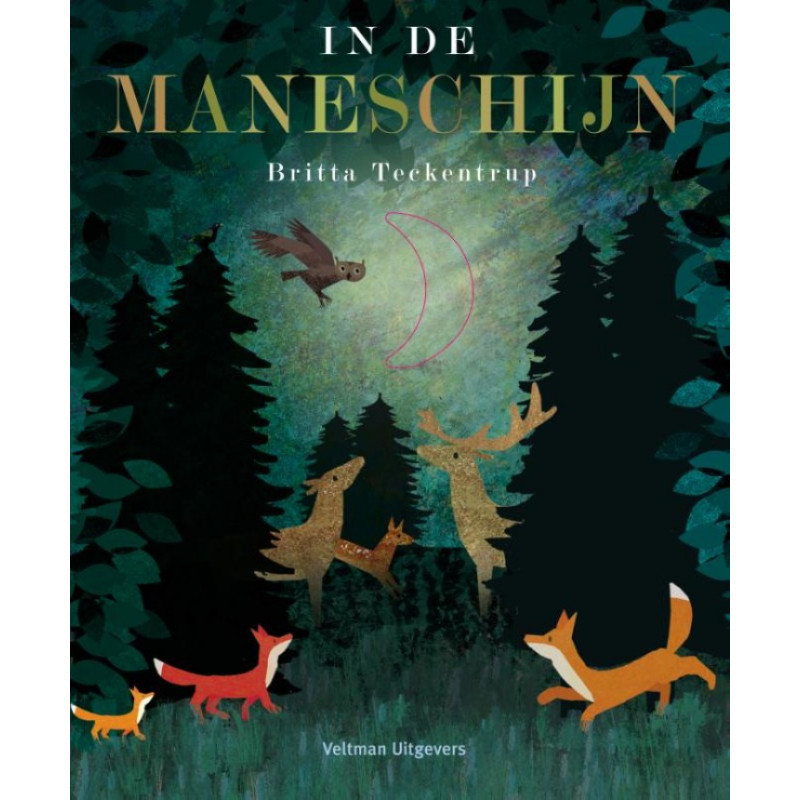 In de maneschijn In de maneschijn
