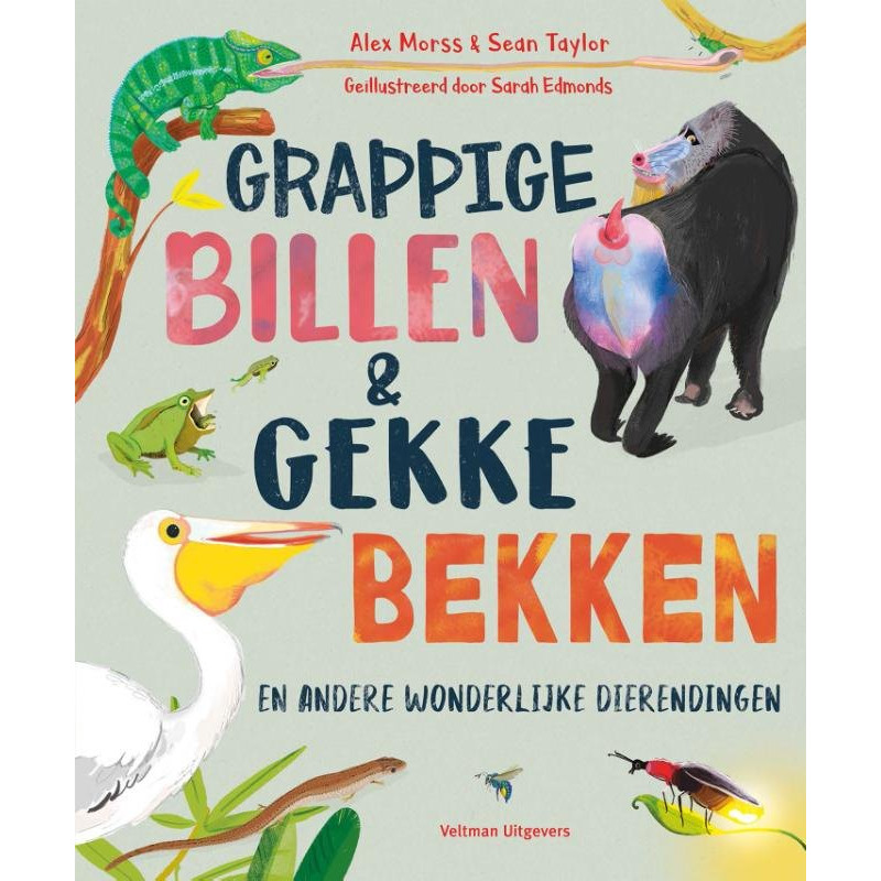 Grappige billen & gekke bekken Grappige billen & gekke bekken
