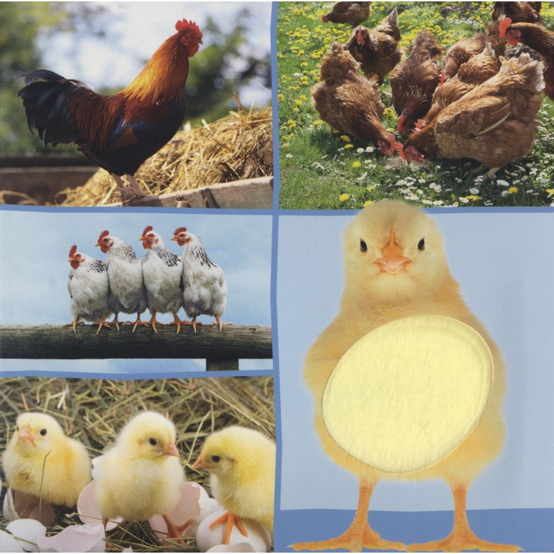 Welk dier hoor ik hier? - Boerderijdieren Welk dier hoor ik hier? - Boerderijdieren