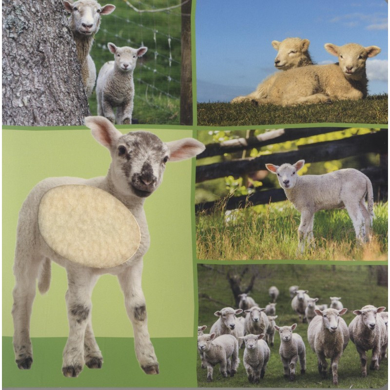 Welk dier hoor ik hier? - Boerderijdieren Welk dier hoor ik hier? - Boerderijdieren