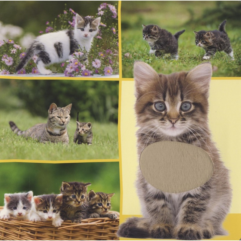 Welk dier hoor ik hier? - Lievelingsdieren Welk dier hoor ik hier? - Lievelingsdieren