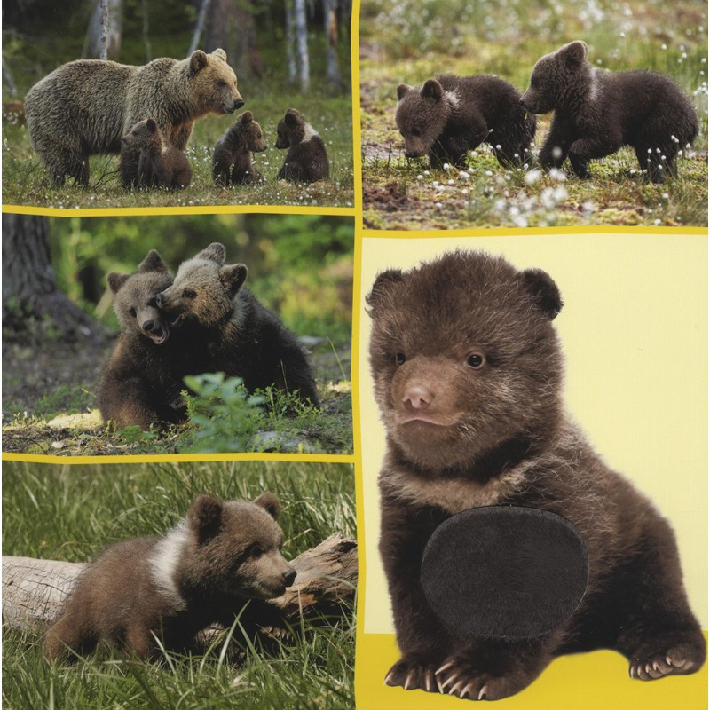 Welk dier hoor ik hier? - Babydieren Welk dier hoor ik hier? - Babydieren