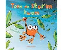 Toen de storm kwam