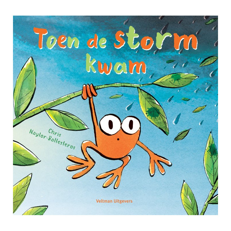 Toen de storm kwam Toen de storm kwam