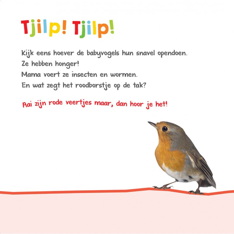 Welk dier hoor ik hier? - In de natuur Welk dier hoor ik hier? - In de natuur