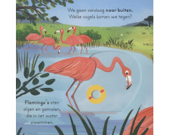 Vogels - voor kleine ontdekkingsreizigers (schuifboekje) Vogels - voor kleine ontdekkingsreizigers (schuifboekje)