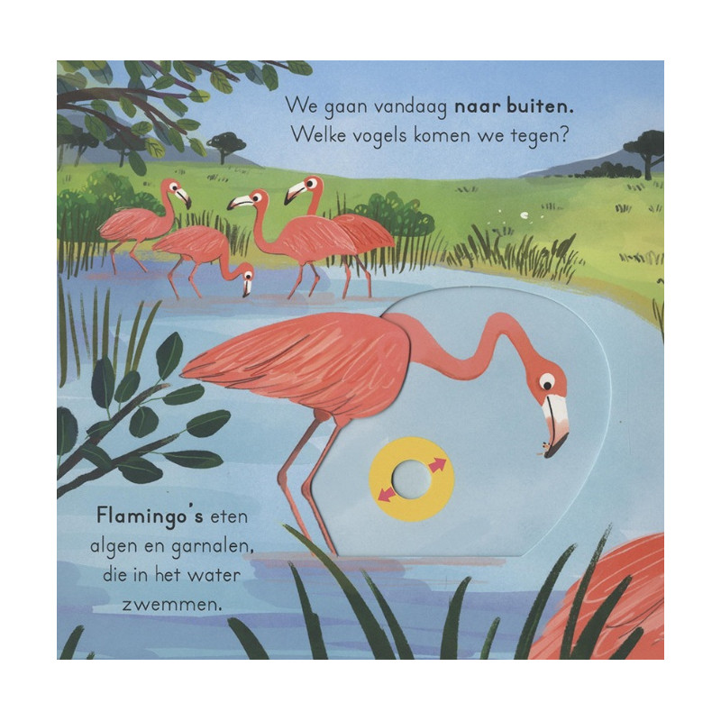 Vogels - voor kleine ontdekkingsreizigers (schuifboekje) Vogels - voor kleine ontdekkingsreizigers (schuifboekje)