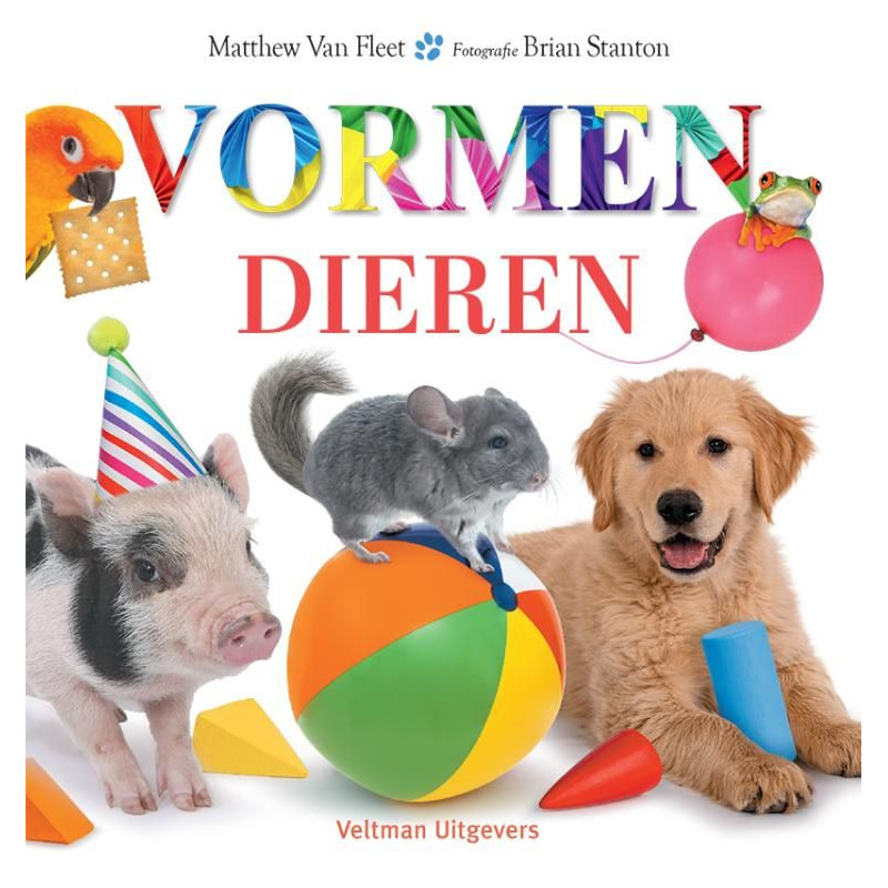 Dieren - vormen Dieren - vormen