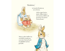 Pieter Konijn - Boek en knuffel