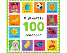 Mijn eerste 100 woorden