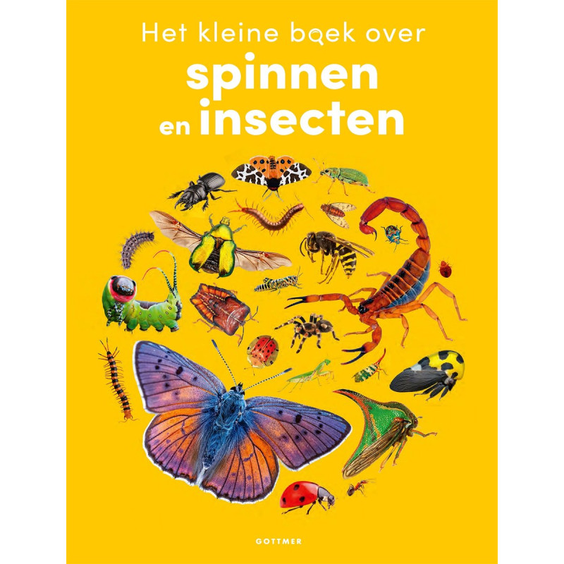 Het kleine boek over spinnen en insecten Het kleine boek over spinnen en insecten