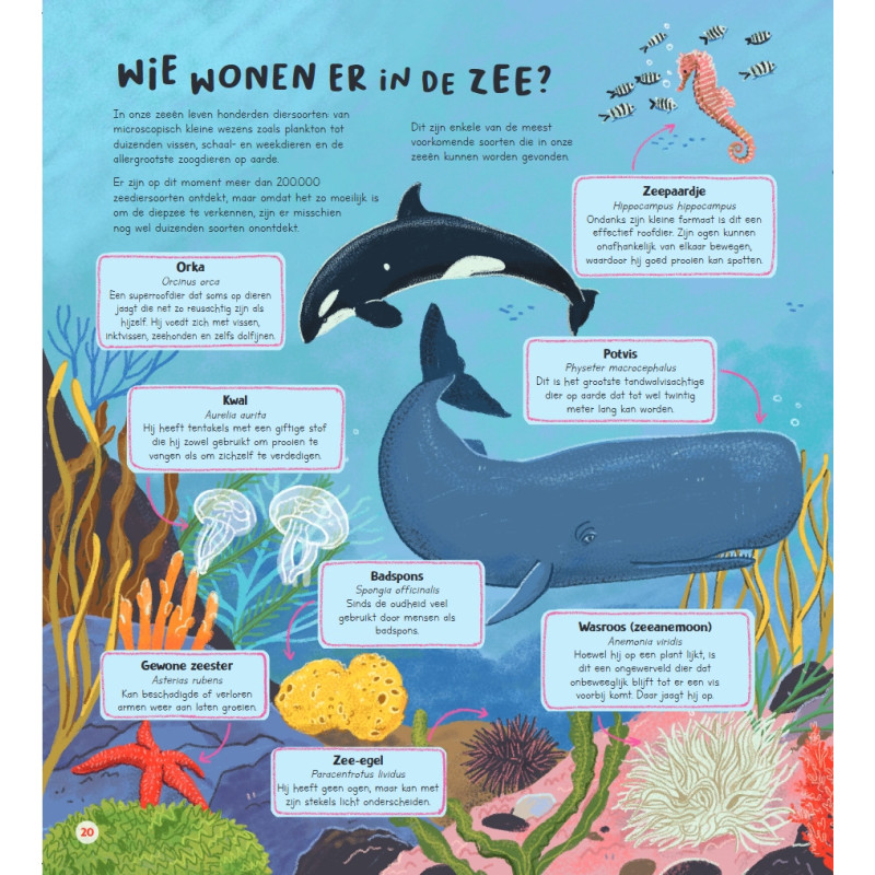 Het grote boek van onze oceaan Het grote boek van onze oceaan