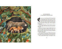 Sprookjes van Grimm Sprookjes van Grimm