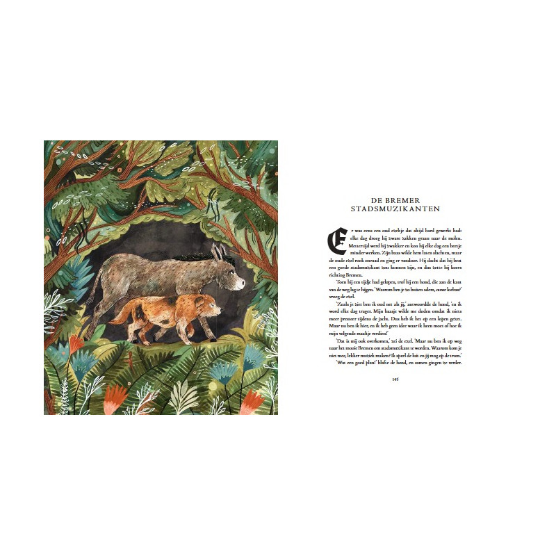 Sprookjes van Grimm Sprookjes van Grimm