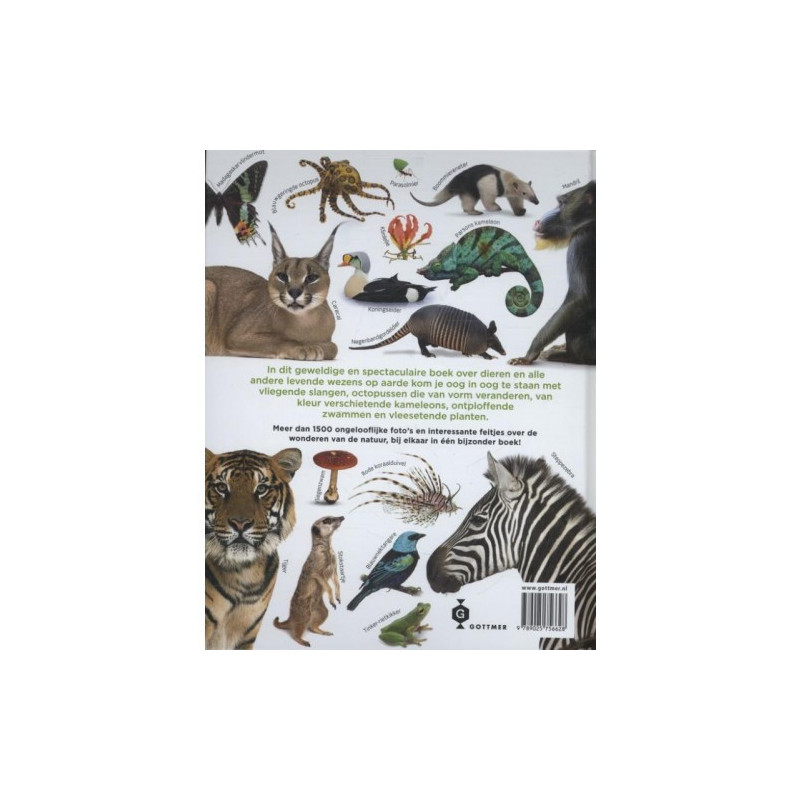 Het Dierenboek Het Dierenboek