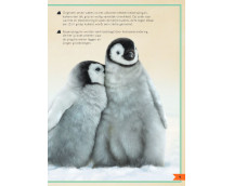 Het allermooiste boek over babydieren Het allermooiste boek over babydieren