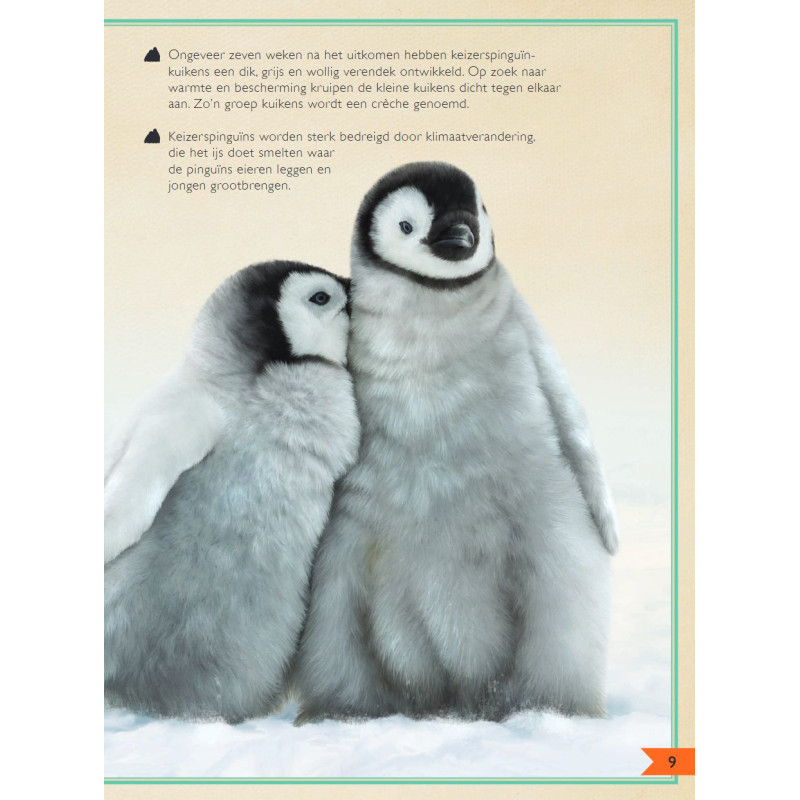Het allermooiste boek over babydieren Het allermooiste boek over babydieren