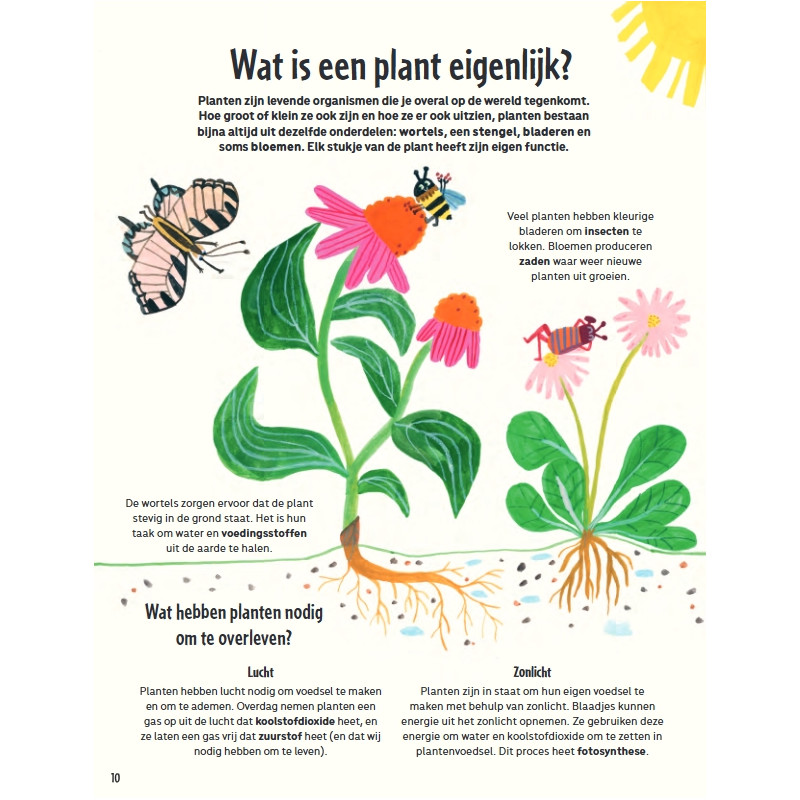 Mijn eerste grote tuinboek Mijn eerste grote tuinboek