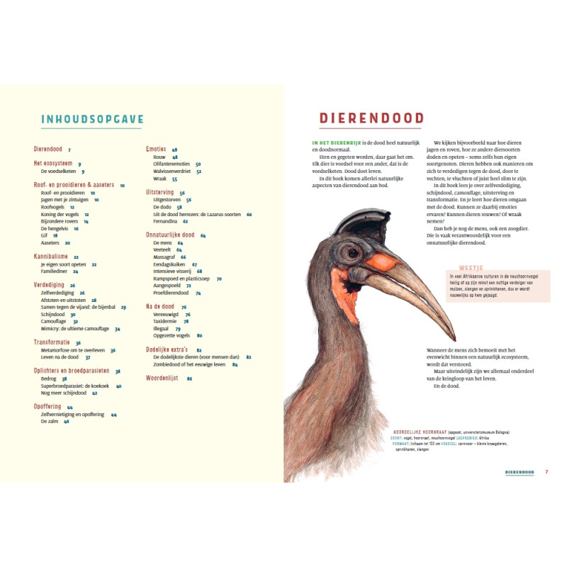 Het dierendoodboek Het dierendoodboek