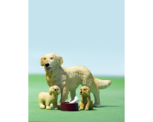 Set - Hond met puppy's